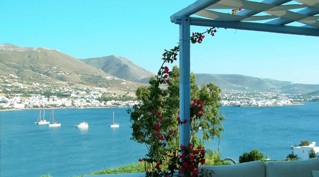 Paros Paradise Apartments 객실 사진